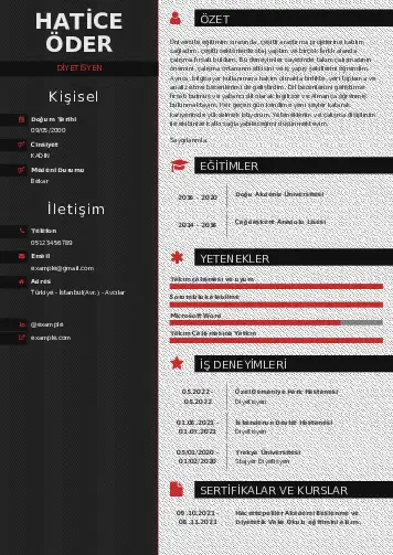 Beslenme Uzmanı Diyetisyen CV Örnekleri cv indir
